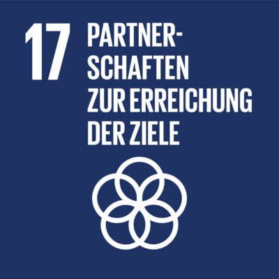 SDG-icon-DE-17